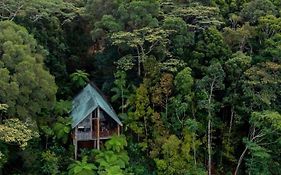 Rose Gums Wilderness Retreat